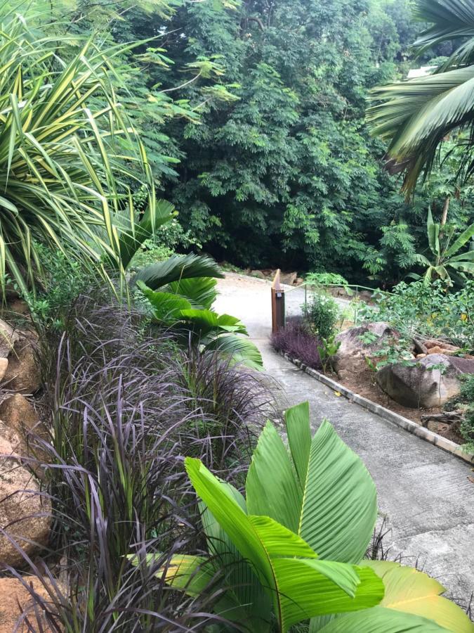 Rock And Palm Lodge Self Catering Appartment Baie Lazare  외부 사진